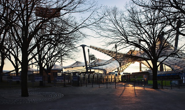 动的多样性 动的多样性