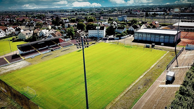 外资项目的 外资项目的