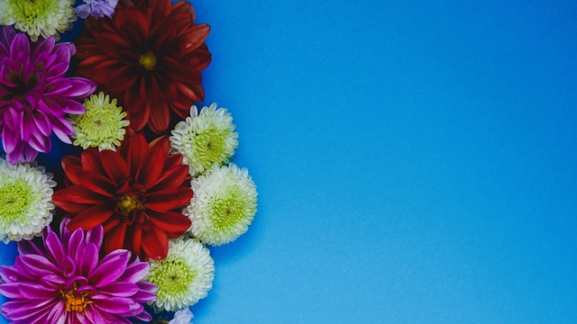 期救急之策 期救急之策