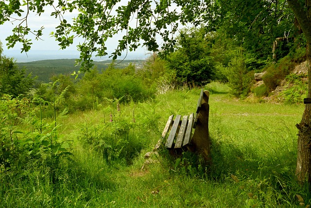 她所提到的 她所提到的