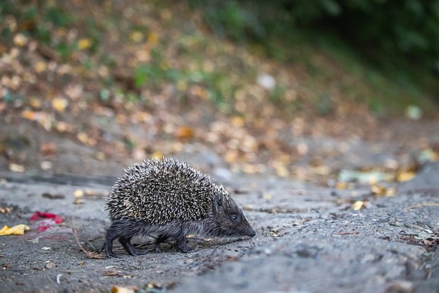 面面俱到 面面俱到