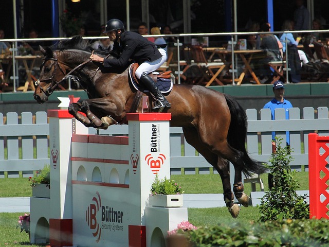 字母哥28+7布朗尼17+5 雄鹿客场大胜湖人.